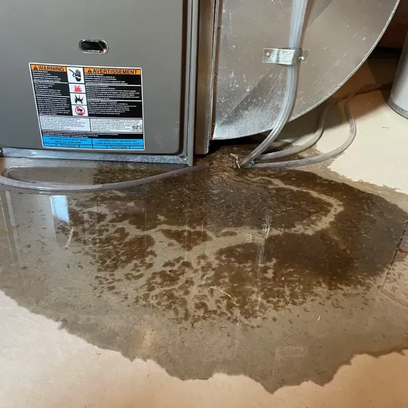 Appliance Leak Cleanup in Coosada, AL